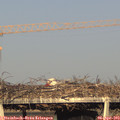 18_40-mast.jpg