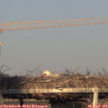 19_05-mast.jpg