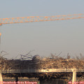 19_10-mast.jpg