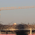 19_15-mast.jpg