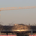 19_20-mast.jpg