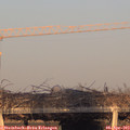 19_25-mast.jpg