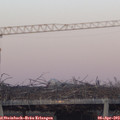 19_40-mast.jpg