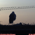 06_55-mast.jpg