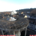 07_00-nest.jpg