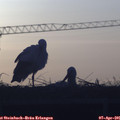 07_05-mast.jpg