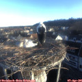 07_25-nest.jpg