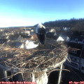 07_30-nest.jpg