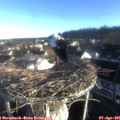 07_35-nest.jpg