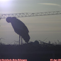 07_40-mast.jpg