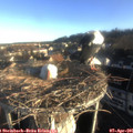 07_40-nest.jpg