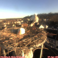 07_50-nest.jpg