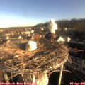 08_00-nest.jpg