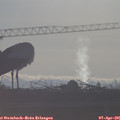 08_20-mast.jpg