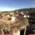 08_40-nest.jpg