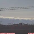 08_45-mast.jpg