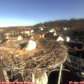 08_45-nest.jpg