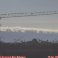 08_50-mast.jpg