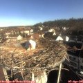 08_50-nest.jpg