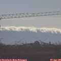 08_55-mast.jpg