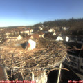 08_55-nest.jpg