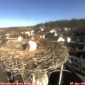 09_05-nest.jpg
