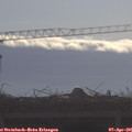 09_10-mast.jpg