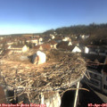 09_10-nest.jpg