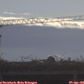 09_15-mast.jpg