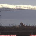 09_20-mast.jpg