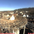 09_20-nest.jpg