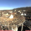 09_25-nest.jpg