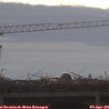 09_30-mast.jpg
