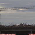 09_35-mast.jpg