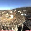 09_35-nest.jpg