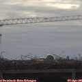 09_40-mast.jpg