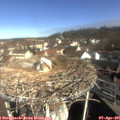 09_40-nest.jpg