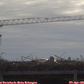 09_45-mast.jpg