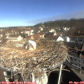 09_45-nest.jpg