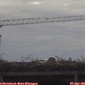 09_50-mast.jpg