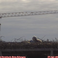 09_55-mast.jpg