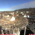 09_55-nest.jpg