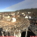 10_00-nest.jpg