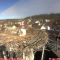 10_05-nest.jpg