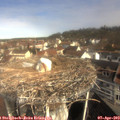 10_15-nest.jpg