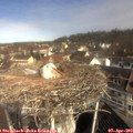10_20-nest.jpg
