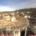 10_25-nest.jpg