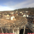10_30-nest.jpg
