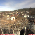 10_35-nest.jpg