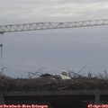10_40-mast.jpg
